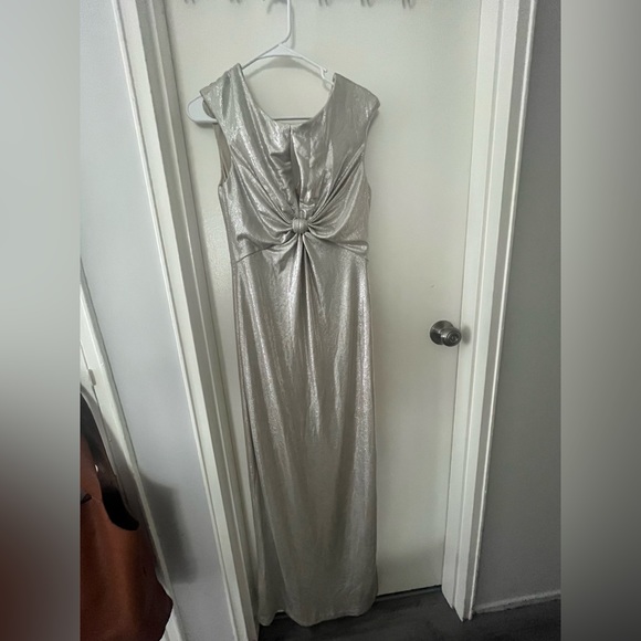 Sliver Dress - Picture 1 of 2